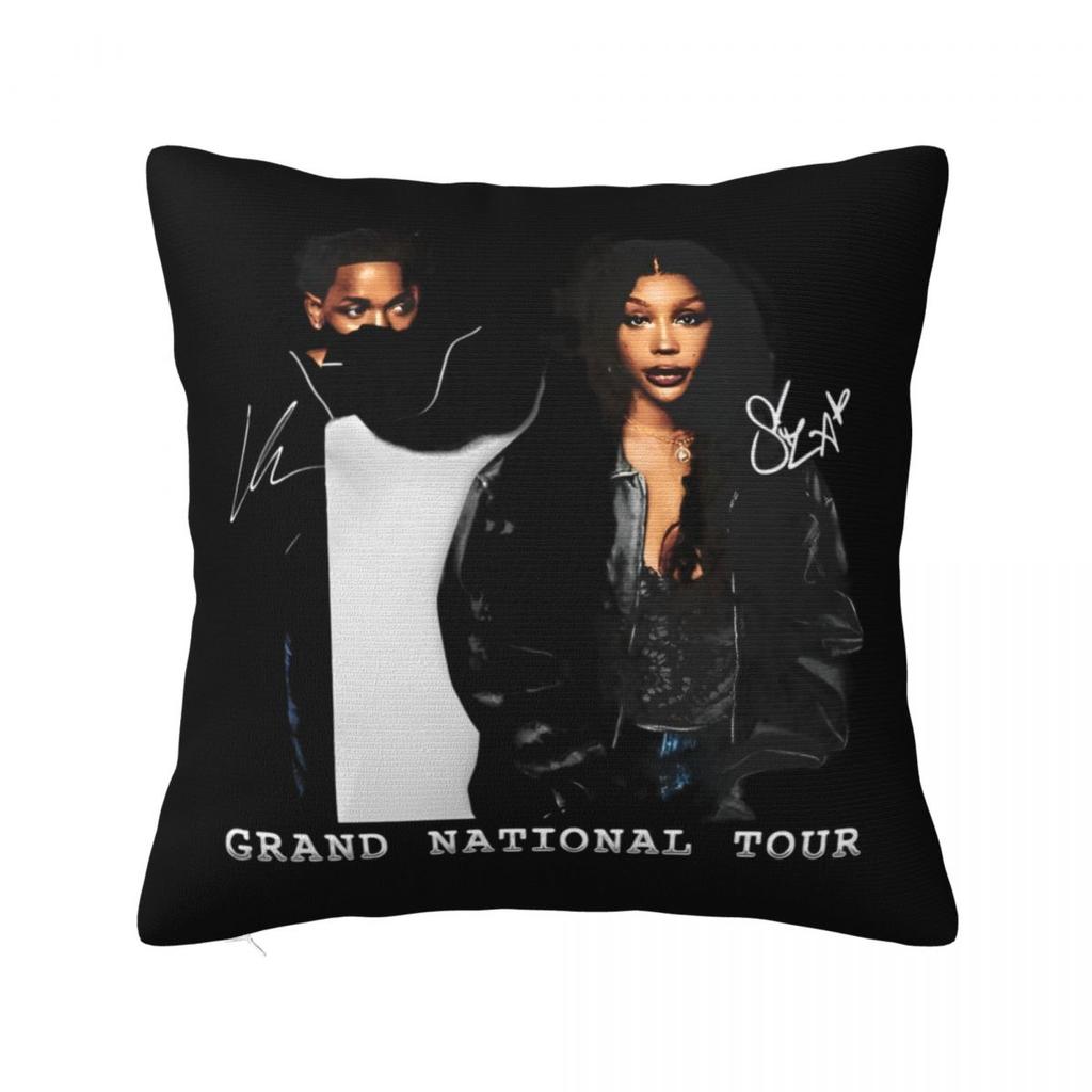 Sza Ctrl Alternate Album Throw Pillow Cover Cushions For Sofa Hip Hop Rapper Funny Pillowcover Home Decor