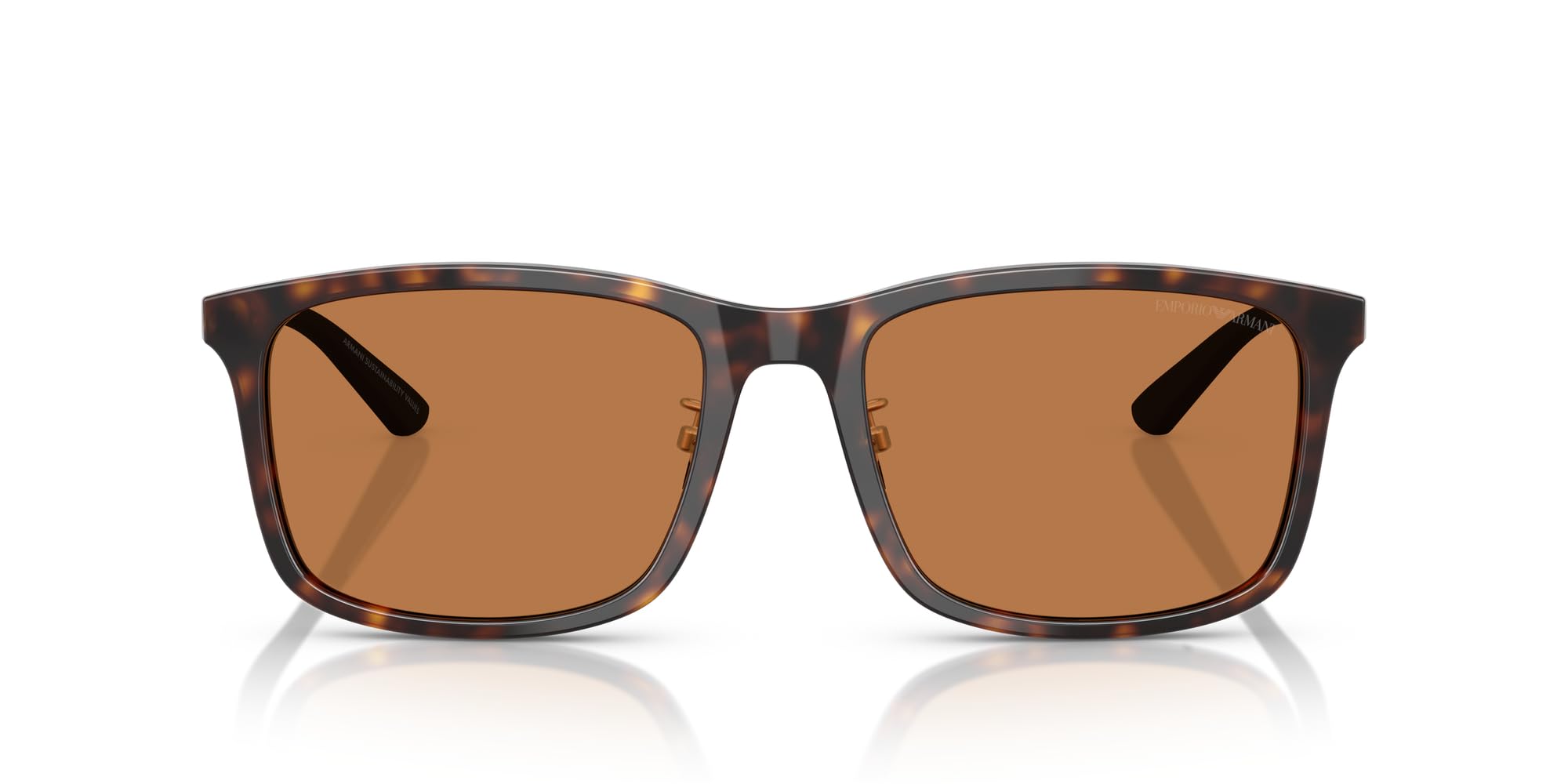 

Sunglasses 0EA4241D SHINY HAVANA 57 [Emporio Armani]