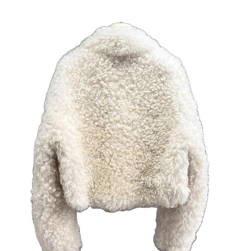 Autumn and Winter New Imitation Lamb Wool Short Fur Coat Women's Thickened Fashion Imitation Wool Roll Coat