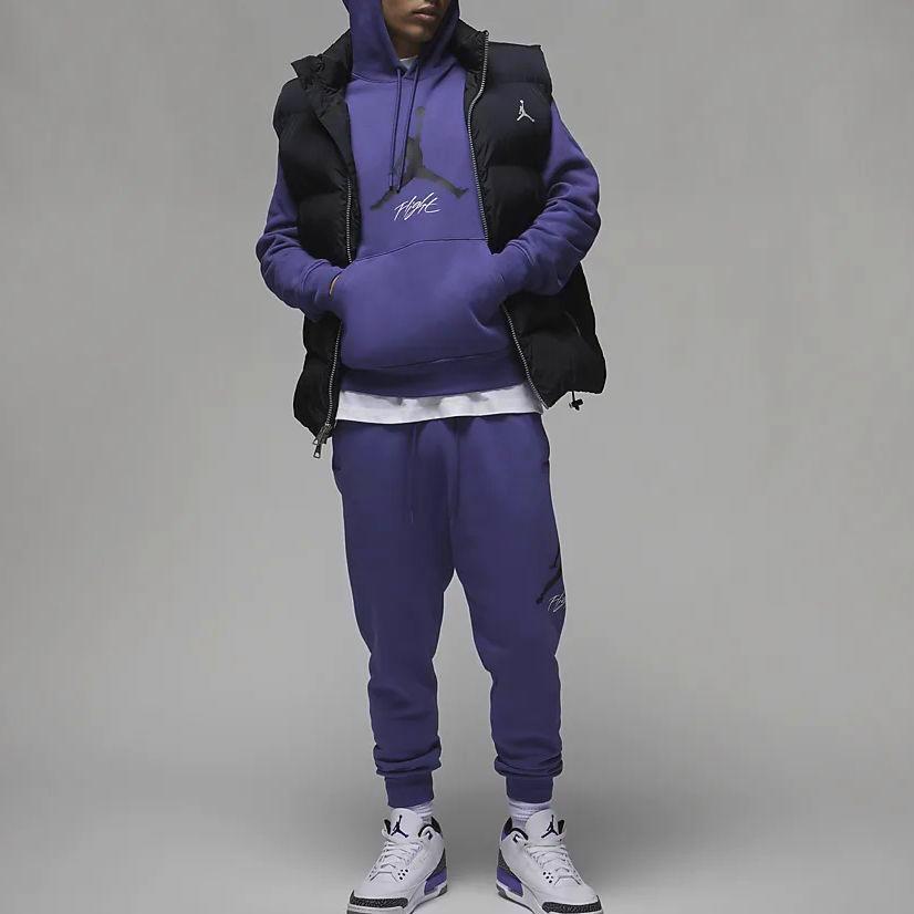 Jordan Essentials Logo Print Hoodie Long Sleeve Casual Sweatshirt Men Tops Purple FD7546-502