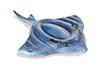 INTEX Stingray Ride-On Float Mat, 188 X 145 Cm, 57550 [Official Japanese Product]