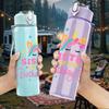 1PC Sister Of The Birthday Girl Unicorn 750ml Color Plastic Sports Water Bottle Leakproof Flip Straw Lid Suitable for Sports Office Home Use