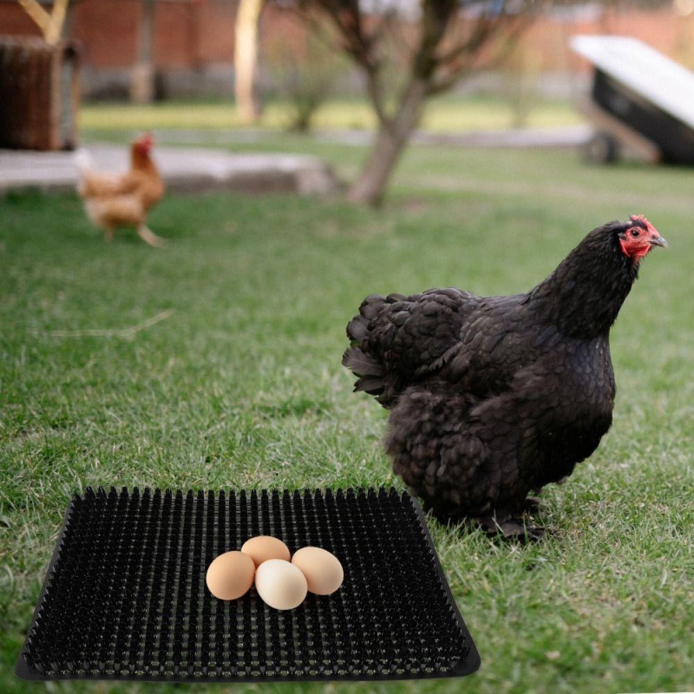 Obdélníkové podložky do kurníku Omyvatelné rohože do kurníku Podestýlka pro kuřata Příslušenství pro klece