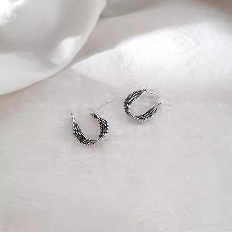925 Sterling Silver Hoop Earrings: 2025 Modern Niche Design - Elegant & Luxurious for Women