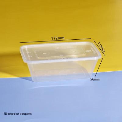 Disposable Square Takeout Food Containers (300 Sets)