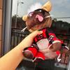 25Cm Stuffed Wolvrine Deadpool Dog Pool Plush Moive Periphery Plushie Doll Ornaments Collectiblestoys Kids Gifts