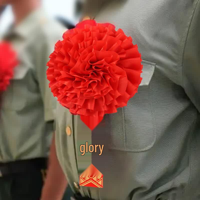 Red Commemorative Brooch Set