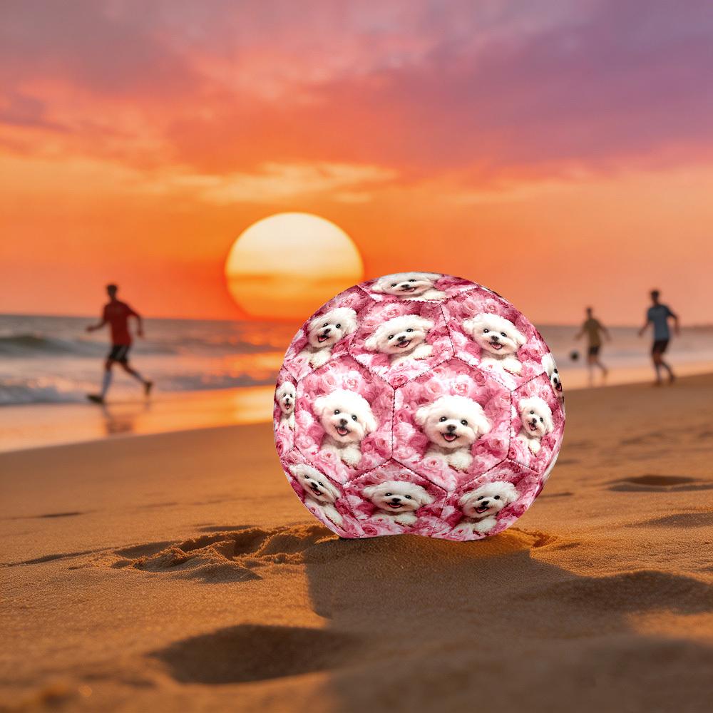 1pc Pink Roses Pup Theme Soccer Ball Football, Size 5, Lightweight PVC, Outdoor Training Soccer Ball,Gift j61419 Size 5