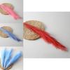 Phragmites Australis Artificial For Wedding Decor With Colorful Feathers And Wall Art Display