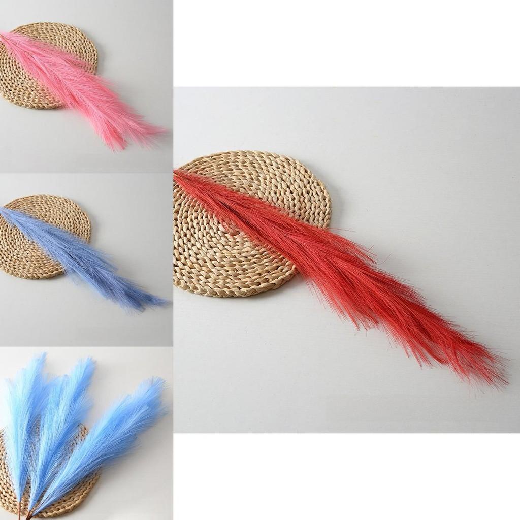 Phragmites Australis Artificial For Wedding Decor With Colorful Feathers And Wall Art Display