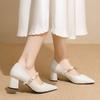 French Versatile Pointed Toe Shoes Women's Comfortable Non-Slip Chunky Heel High Heels