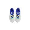 Nike Team Hustle D11 PS 'Green Strike Racer Blue' DV8994-101