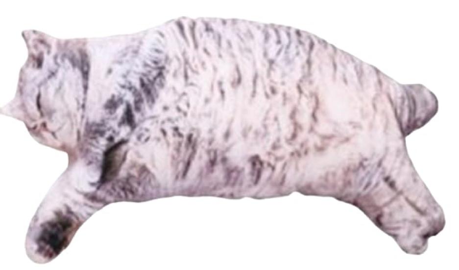 Realistic Fat Cat Cushion 2, Approx. 50cm, Large Plush Toy, Single Item: A Lying Down