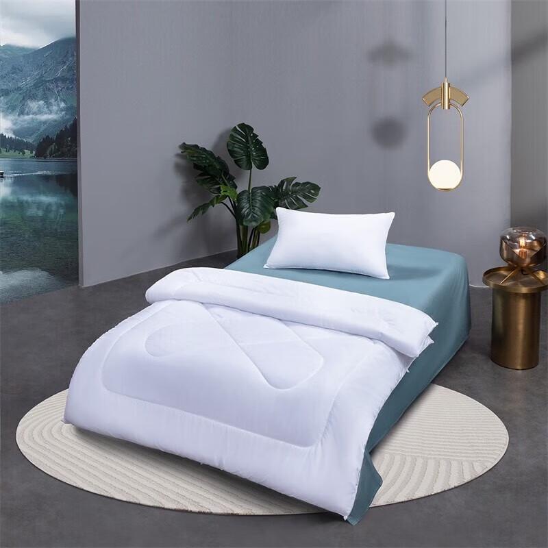 

Mercury Home Luminous Flow Four Seasons Quilt