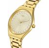 Часы Swatch SYXG126G
