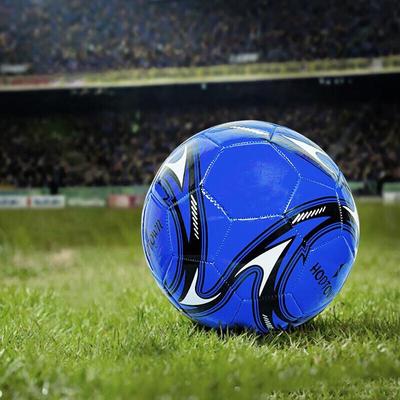 Hodtown Size 5 Soccer Ball