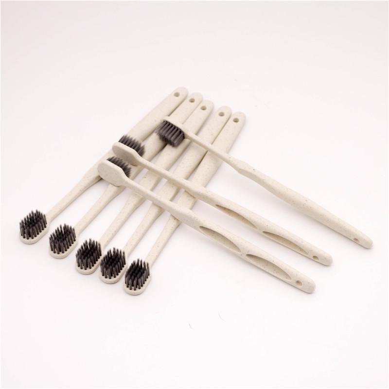 Soft Bristle Disposable Toothbrush for Hotels & Travel