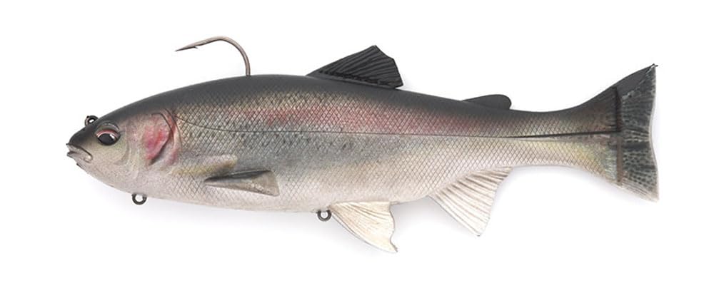 

Imakatsu Lazy Swimmer 9 F Eco 3D Realism 3DR Rainbow T #S-485