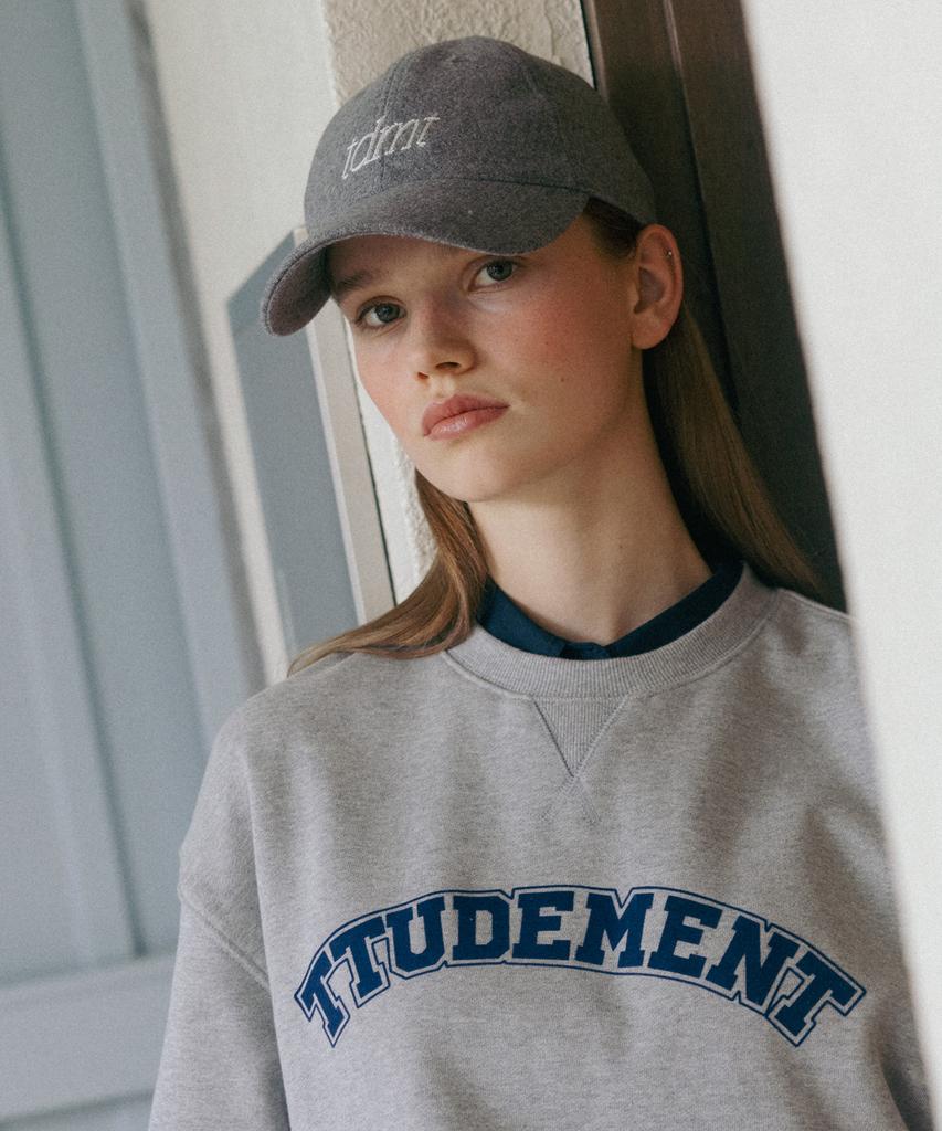 TTUDEMENT Tdmt Logo Ballcap Gray