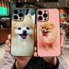 Funda Coque Cover for Apple iPhone 15 14 16 Plus XS 13 11 12 Pro Max XR X 16E ProMax Phone Case Pomeranian Dog