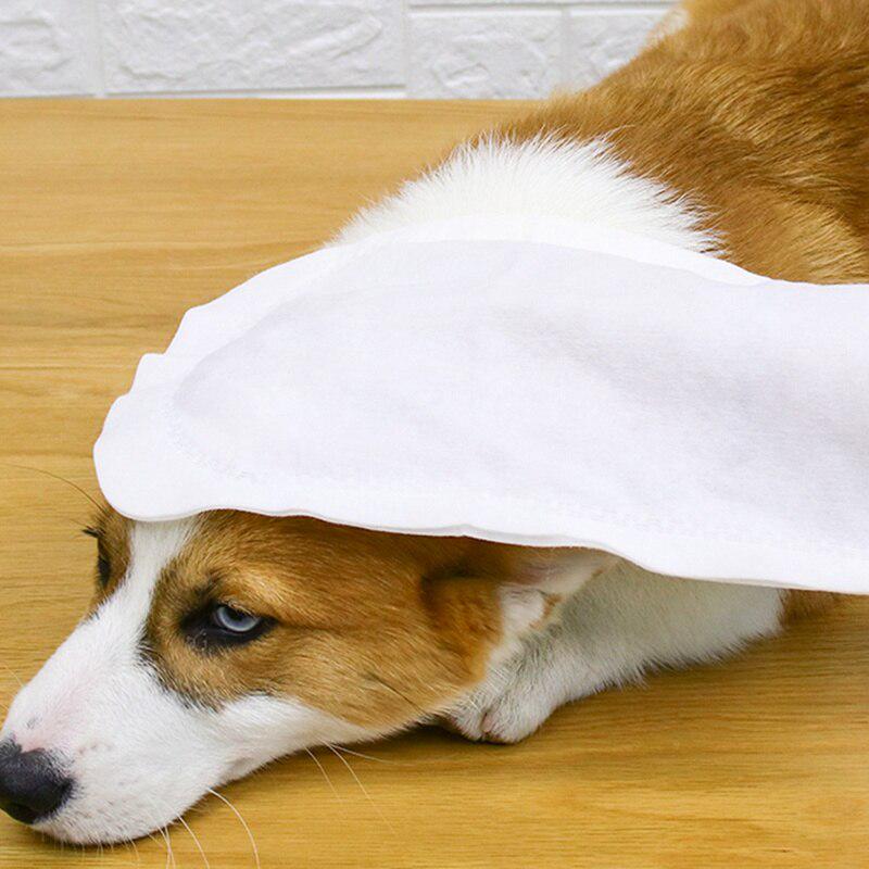 dog deodorizing wipes