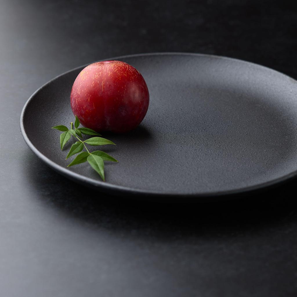 Ware Hendey 24cm Unbreakable Plain Made In Premium Heat Resistant Dishwasher and Microwave Durable Simple Ceramic Look Plate, Japan, Black, (240°C),