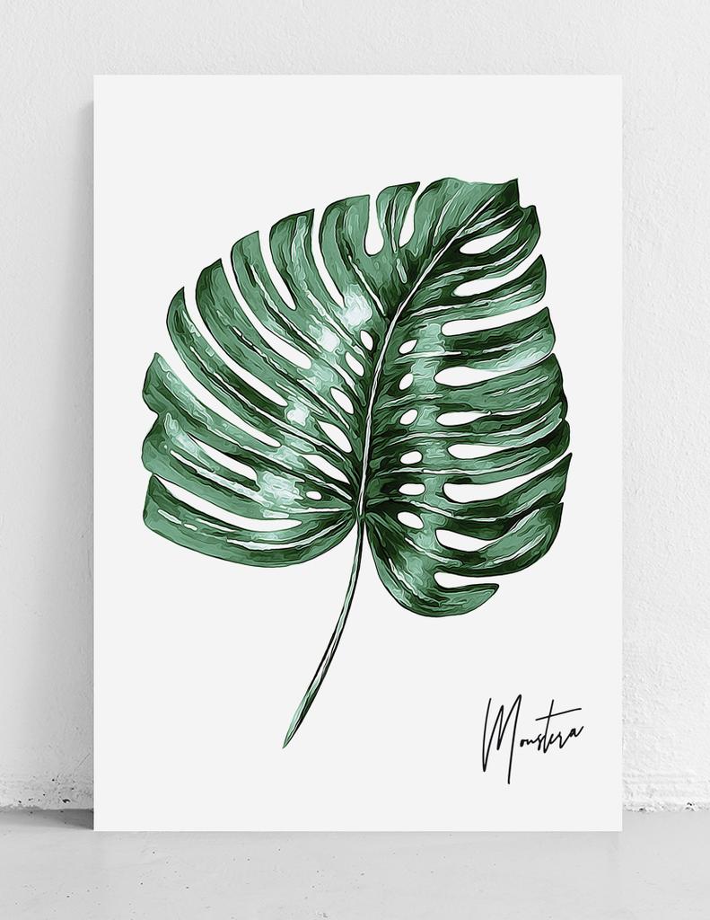 Monstera Poster Signed
