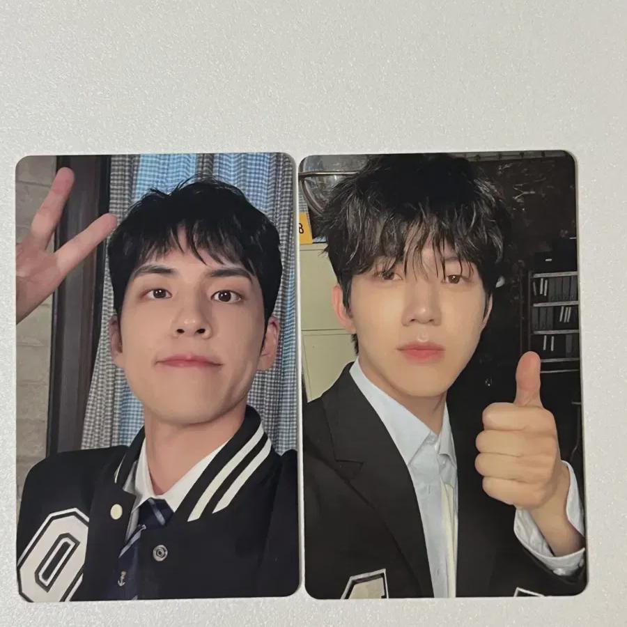 

Daysix Denimals Pop Up Online Фотокарточка Foca