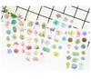 6Sheets/Pack Kawaii Succulent Plants Decoration Scrapbooking Stickers Transparent PVC Stationery Diary Stickers