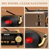 Retro Bluetooth Speaker Vinyl Player Style Radio, Portable FM/AM/SW & Wireless Streaming, Unique Vintage Decor for Home & Gift Idea