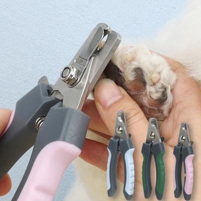 Köpek – Köpek bakım ürünleri