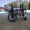 Four-Leg Support Dog Wheelchair for Rehabilitation and Mobility - Medium & Large Dogs
