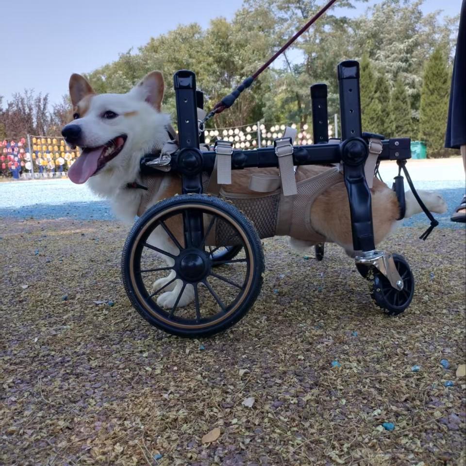Four-Leg Support Dog Wheelchair for Rehabilitation and Mobility - Medium & Large Dogs