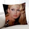 cushion cover Home Model Bedding Sofa BBrigitte living Room pillowcase Simple Soft Skin Cushion Cover Party BBardot Gift