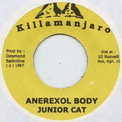 

7-дюймовая пластинка JUNIOR CAT - Anerexol Body Killamanjaro 1987 Ямайка Регги, Ска и Даб