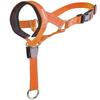 Dog Head Halter with Safety Strap-Stops Heavy Pulling on The Leash-Padded Headcollar for All Dog Sizes - Head Collar Training