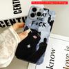 2DFlat Funny Cat Phone Case All inclusive film hard iPhone case, compatible with iPhone 18 Pro Max 17 16 15 14 13 12 11
