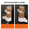 Automatic Bird Water & Food Dispenser for Parrots and Quails
