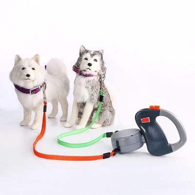 walking dog toy with lead