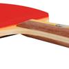 DHS Bordtennisracket