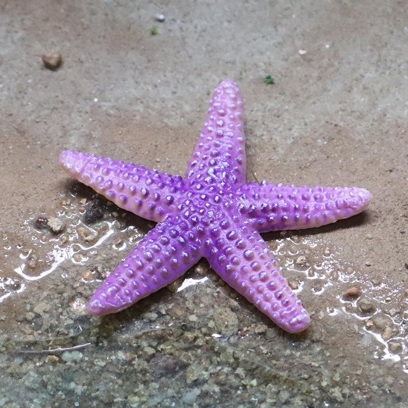 Starfish Model: Educational Sea Creature Toy & Fish Tank Decoration