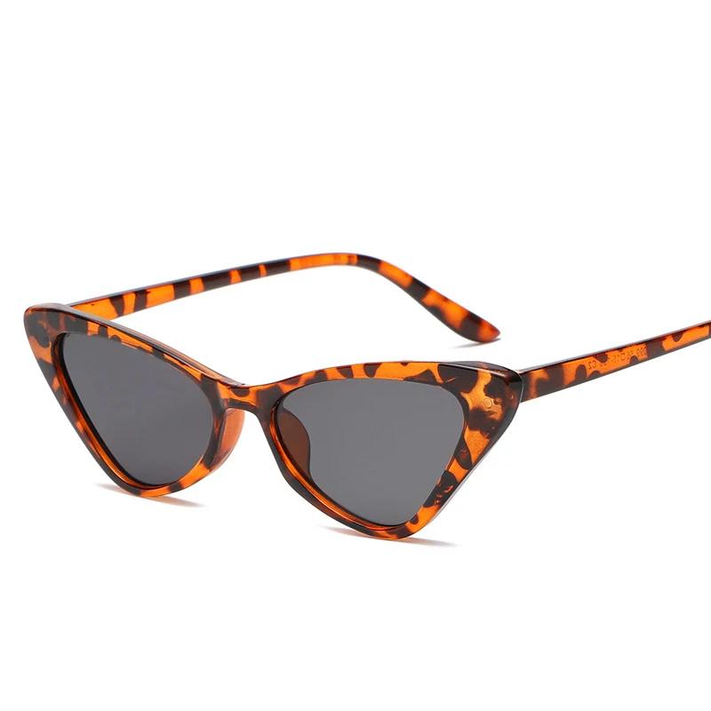 Fashion Luxury Design Sunglasses for Women Small Sexy Cat Eye Sun Glasses Vintage Fashion UV400 Outdoor Hip Hop Sports Goggle Eyewear