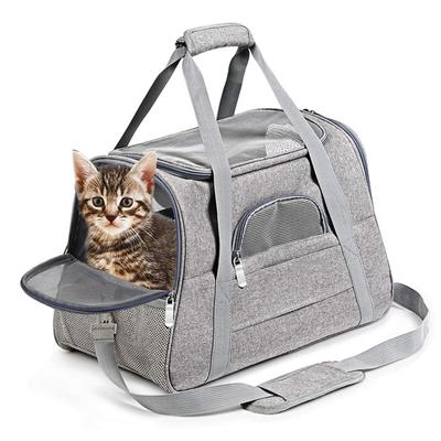 Trasportino Pieghevole Traspirante per Animali Domestici: Borsa Portatile di Grande Capacità per Gatti Piccoli - Ideale per Esterni e Viaggi in Auto