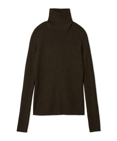 

Emi Sheer Turtleneck Free Size Top, 13WNT254056, Women s, BRW,