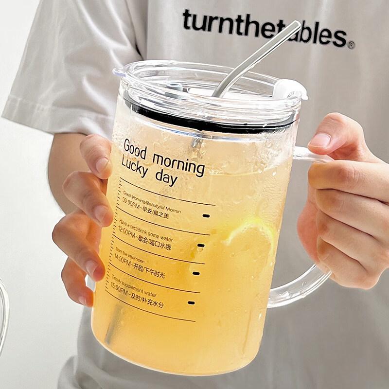 ZISIZ Large Capacity Glass Water Bottle