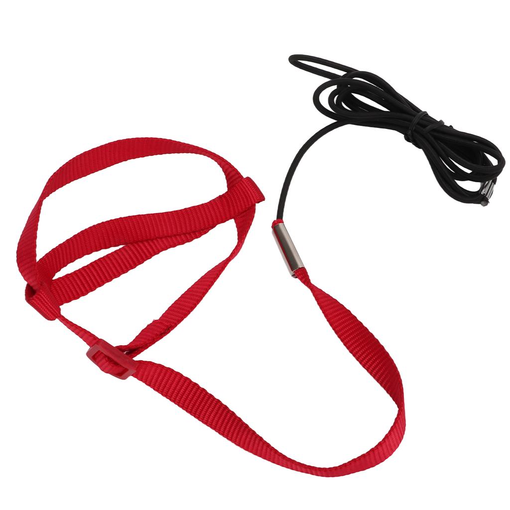 Bird Leash Bite Resistant Adjustable Parrot Flying Training Rope for Walking Attending PartyRed S