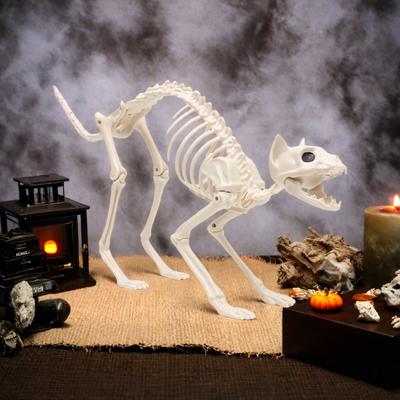 Halloweenská dekorace kočky kostry Hororová plastová kostra koťátka Kostní dekorace s pohyblivou čelistí Krk Ocas pro Halloweenskou párty Domácí dvorní dekorace