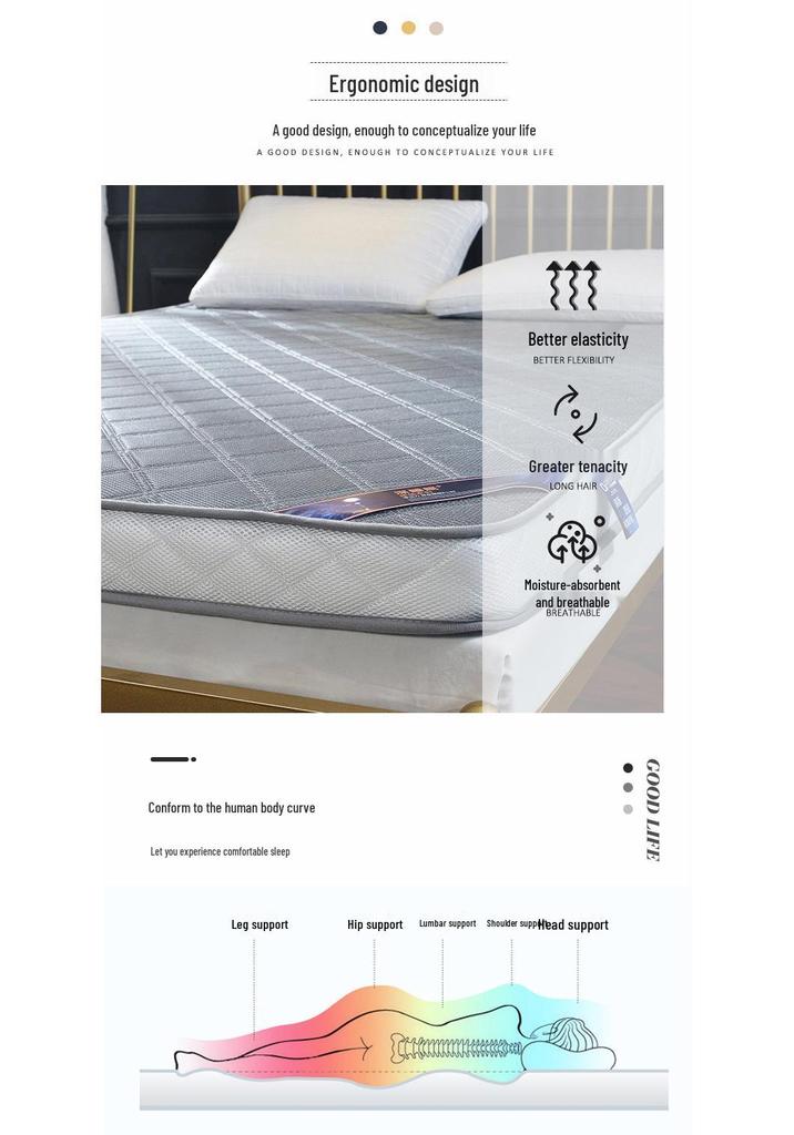 Single Soft Futon Mattress for Dorm - Comfortable Foldable Tatami Floor Mat