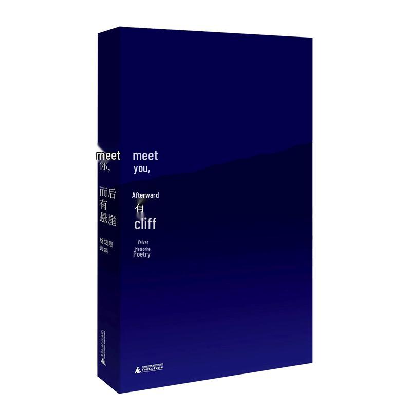Meeting You, Then a Cliff: Velvet Meteor Poetry Collection