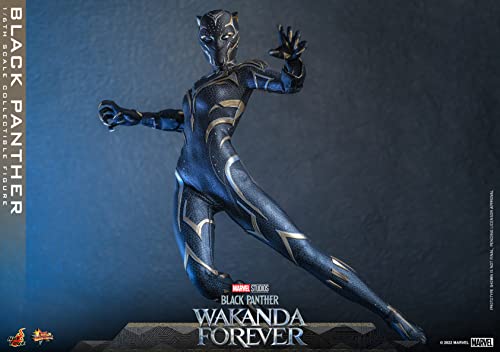 Hot Toys Movie Masterpiece Black Panther/Wakanda Forever 1/6 Scale Figure